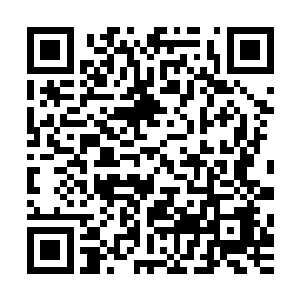 其他人却都还固定思维的想着如何跟踏雪无痕墨角腾云兽求饶二维码生成