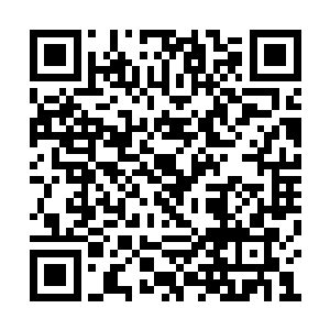 其他人在派出去查探之前都有在他这里看过画像二维码生成