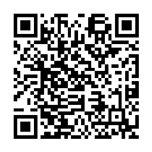 其他人复杂的看了一眼陵园中正惊慌失措在找蔓仙子的兰鑫仙人二维码生成