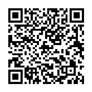 其他人就只是隐约的知道张东城似乎有什么大动作二维码生成
