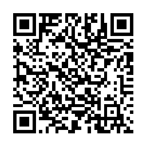 其他人并没有对这个跟花草差不多的东西抱什么希望二维码生成