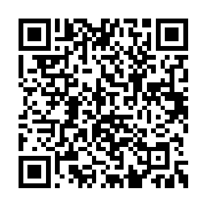 其他人我倒不担心……但花间这刚到四十级的人二维码生成