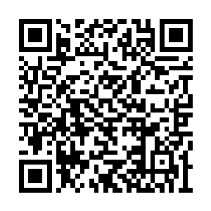 其他人或者势力必须拥有相当于500万晶核的财富二维码生成