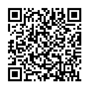 其他人看到紫嫣这位九级药神都如此的炼制丹药二维码生成