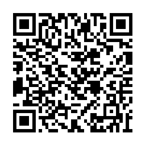 其他人都参与了巫咸门所辖无比庞大地盘的管理二维码生成