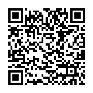 其他人都曾经在简来医院讲座的时候有幸见过一两次二维码生成