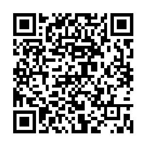 其他人顿时也将目光看向了身穿黑衣龙袍的幻秋雨二维码生成