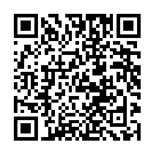 其他六个一看身上的服饰就知道全都是值安处的警卫二维码生成