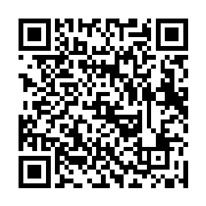 其他军校那些有些晕头转向的新兵下意识地跟随大众走二维码生成
