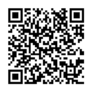 其他几个也立即放下酒杯朝纪成藩齐刷刷地看过来二维码生成