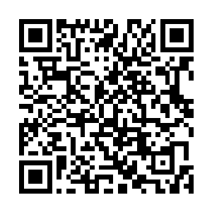 其他几个人在人选问题上都毫不客气的表明了自己的态度二维码生成