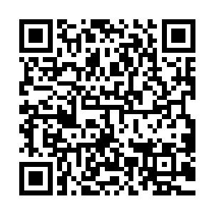 其他几个跟着哈力卡死里逃生回来的武者见分会长都如此做法二维码生成