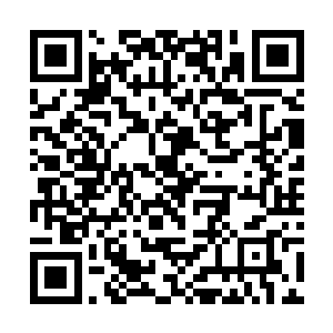 其他几乎每一个人的攻击都被那些火蛇所击溃和吞噬二维码生成