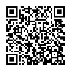 其他四个队友可都是在上一波中出了不少力的啊二维码生成