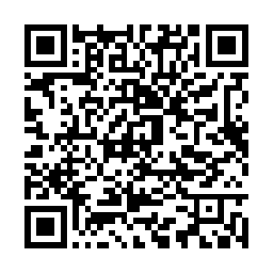 其他地方很少能有这样的的环境出产那么多的灵兽二维码生成