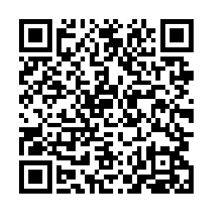 其他大世界估计也要掂量下自己拿什么来对付这圣道战舰二维码生成