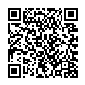 其他大概没有什么入回忆得起洼崮还有什么值得记住的东西了二维码生成