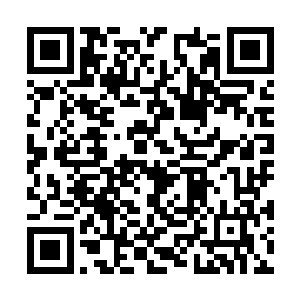 其他尊者四十五级以下的高手一起抵抗周围的冰兽二维码生成