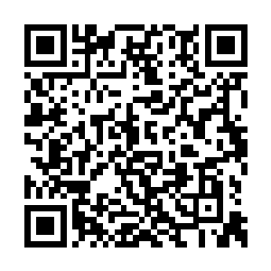 其他应该跟那原来的插天峰猎海城并无多少差别二维码生成