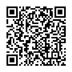 其他所有投过月票的亲亲由于数量太多无法在题外话一一列出二维码生成