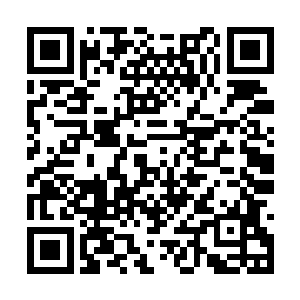 其他所有流派的蛊虫几乎都无法在梦境中自由施展二维码生成