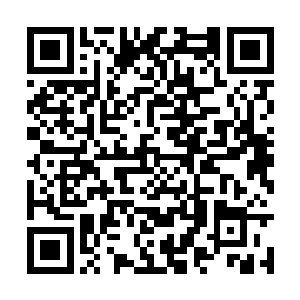 其他日子不让人去请是决计不会主动到碧藤院来的二维码生成