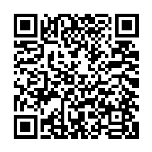 其他日曜学院的学员也同样是带着一种嫉妒的眼神看待着叶然二维码生成