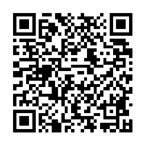 其他时候无一不是在风刀霜剑四下环逼里挣扎求活二维码生成