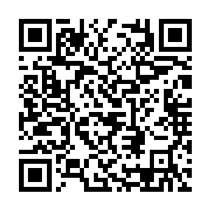 其他机关兵和机关兽总共加起来也不过九百个而已二维码生成