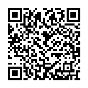 其他权贵家的仆人纷纷跑了出来看着这边的动静二维码生成