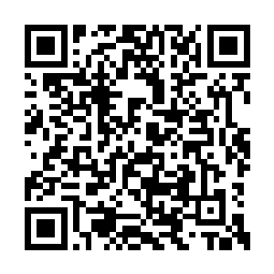 其他来参加宴会的有角贵族也跟莫顿公爵差不多二维码生成