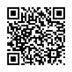 其他樱花的杀手看到三井宪的动作后二维码生成