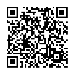 其他班级的教官和一些有基础体育知识的新生们二维码生成