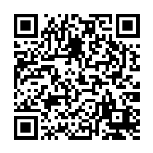 其他的七个里竟然有六个都是那种写满不认识的文字二维码生成