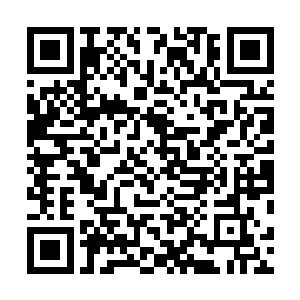其他的九个人也会因为这一个人的变化而改变命运的齿轮二维码生成