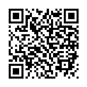 其他的仙君那里还顾得上释放仙诀二维码生成