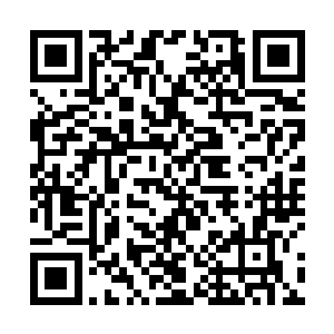 其他的修士想要走出那座迷宫就不知道需要多少时间了二维码生成