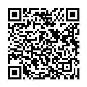 其他的军校生可是被幻影之王一连串的动作更弄晕了二维码生成