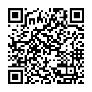 其他的几个排名前十的首席弟子位置全都超出了最远的追踪范围二维码生成