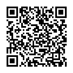 其他的则全部以市场价出售给南阳城的富商贵族二维码生成