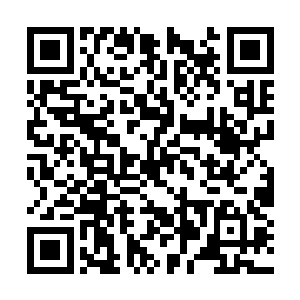 其他的城卫军和高手很快就会将我们彻底的包围的二维码生成