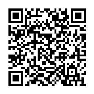 其他的宫人都对在皇贵妃身边伺候的人羡慕不已二维码生成