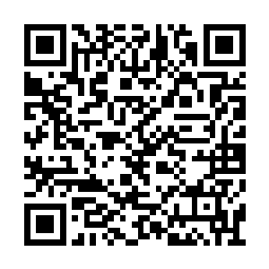 其他的气息被一股令我感到颤抖的气息所遮掩了二维码生成