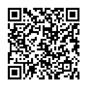 其他的灵物得的再多倒也没有使他的心境出现太大波动二维码生成