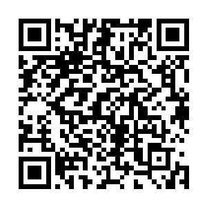 其他的白羽门弟子甚至于若龙家族的若龙都只是合体期强者二维码生成