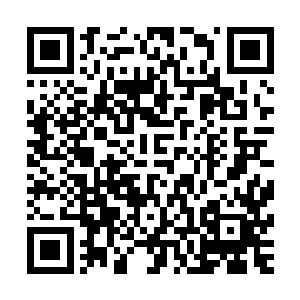 其他的豺狼也因为龙战突然挑衅的行为而不断发出低吼的声音二维码生成