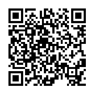 其他的那些小弟全部都瘫软在地上痛苦的哀嚎着……二维码生成
