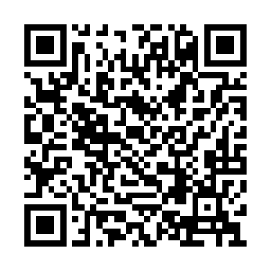 其他的那些试炼者都被他们三人组搜刮过了……二维码生成