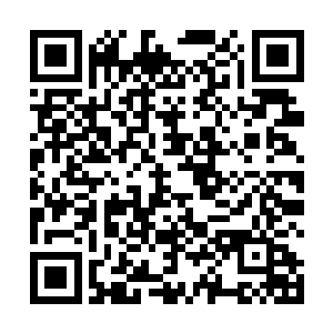其他的都是地黄丸以及另外一种叫做清心丹所需的丹药二维码生成