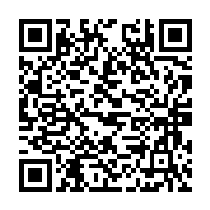 其他的队伍更加的不知道自己的队伍剩下多少人了二维码生成